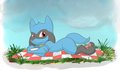Riolu-just a cloudy day