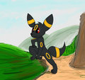 What an adventure, an Umbreon adventure.