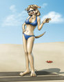Beach Greyhound by Azraelle