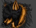 Allio Fawks (OllieFoxXx)