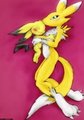 Renamon and Pikachu  by miw
