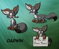 Darwin