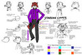 Starfox Construction Sheet by Halpthiuian