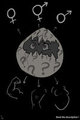 *C*_Create a creature!  -egg stage