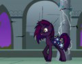 Felis Noctu, the Necromantic Pony