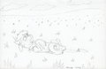 Peace in the Prairie by Hericks