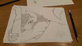 Drawing in Thaitail 