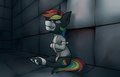 Rainbow Heart Crazy