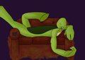 sleepy turtle