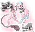 Mewka Birthday Gift
