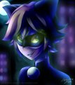Cat Noir