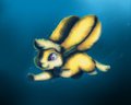 Shuna kittens love water by Aaliyah