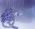 Winter Rain by Bard
