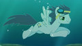Soarin uw (MLP)