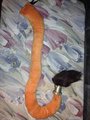 Lion Tail by Bryson