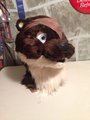 Otter Fursuit Head by Bryson