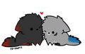 Suveru and Crescent go CUTE