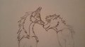 Little Licks - Traditional by DarkHonin