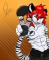 Razr Commission 'Reach'