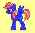 Sonic Wonder (Vector) by ToshiMarame