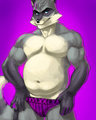 XXL Swimwear - Wes