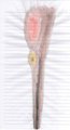 Champsosaurus