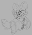 wip phone roog