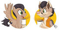 Apolo pony and furry