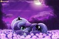 Nightblooms by lumineko