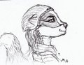 head practice