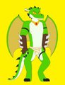 New Fighter by Toonfan0