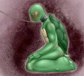 Collared Raph