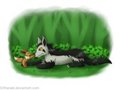 Uncle Mightyena - Nose Boop!  by can
