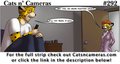 Cats n Cameras Strip #292 - Let me be there for you