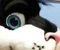 A New Challenger Approaches!