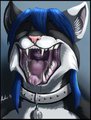 Maho mawshot - by acidic by mahogato