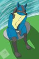 Lucario isn't amused