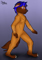 doggys walk by glaede