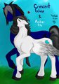 Valintines Gift 2