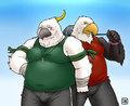 Avian duo
