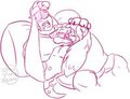 Big Hound Dawg and Teenie Fox
