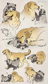 Tanuki Love by EcchiTanuki