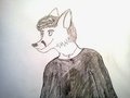 My Fox Fursona by Deraku