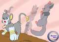 Tricky Zorua