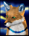 Realistic Feral JoJo