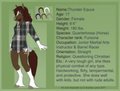 Thunder Equus Reference 2011 by ThunderEquus