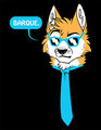 Barque - Nomad Complex shirt design