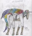 Dash Prismknight