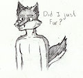 Furry doodle and practice. by Toastedcake