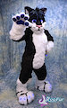 Frostcat's Fursuit Reveal!